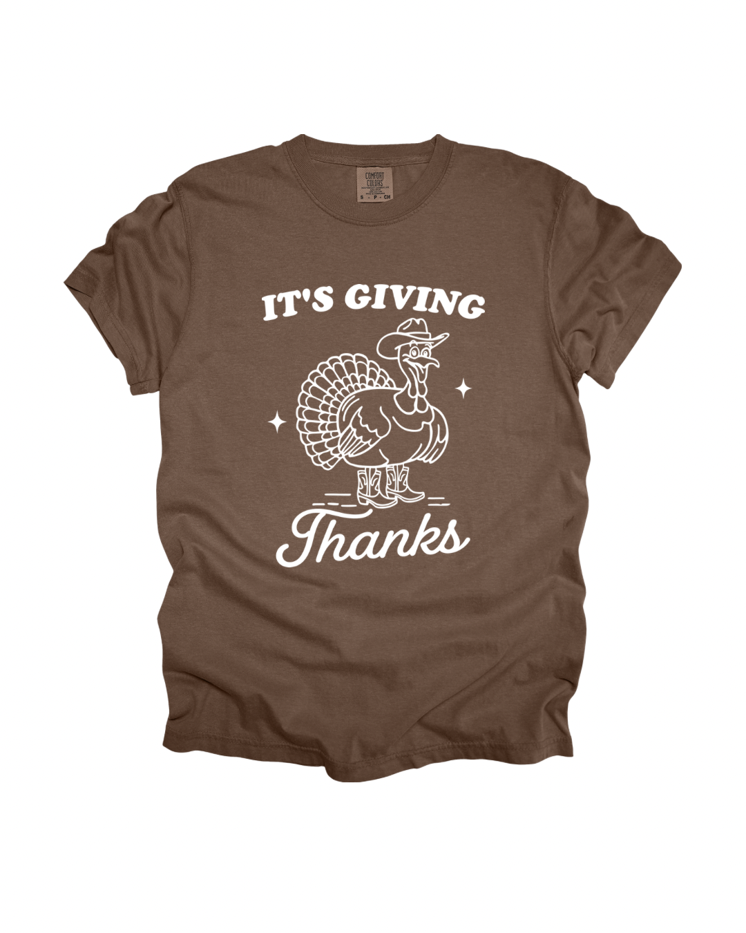 Thanksgiving It’s Giving Thanks Adult Tee