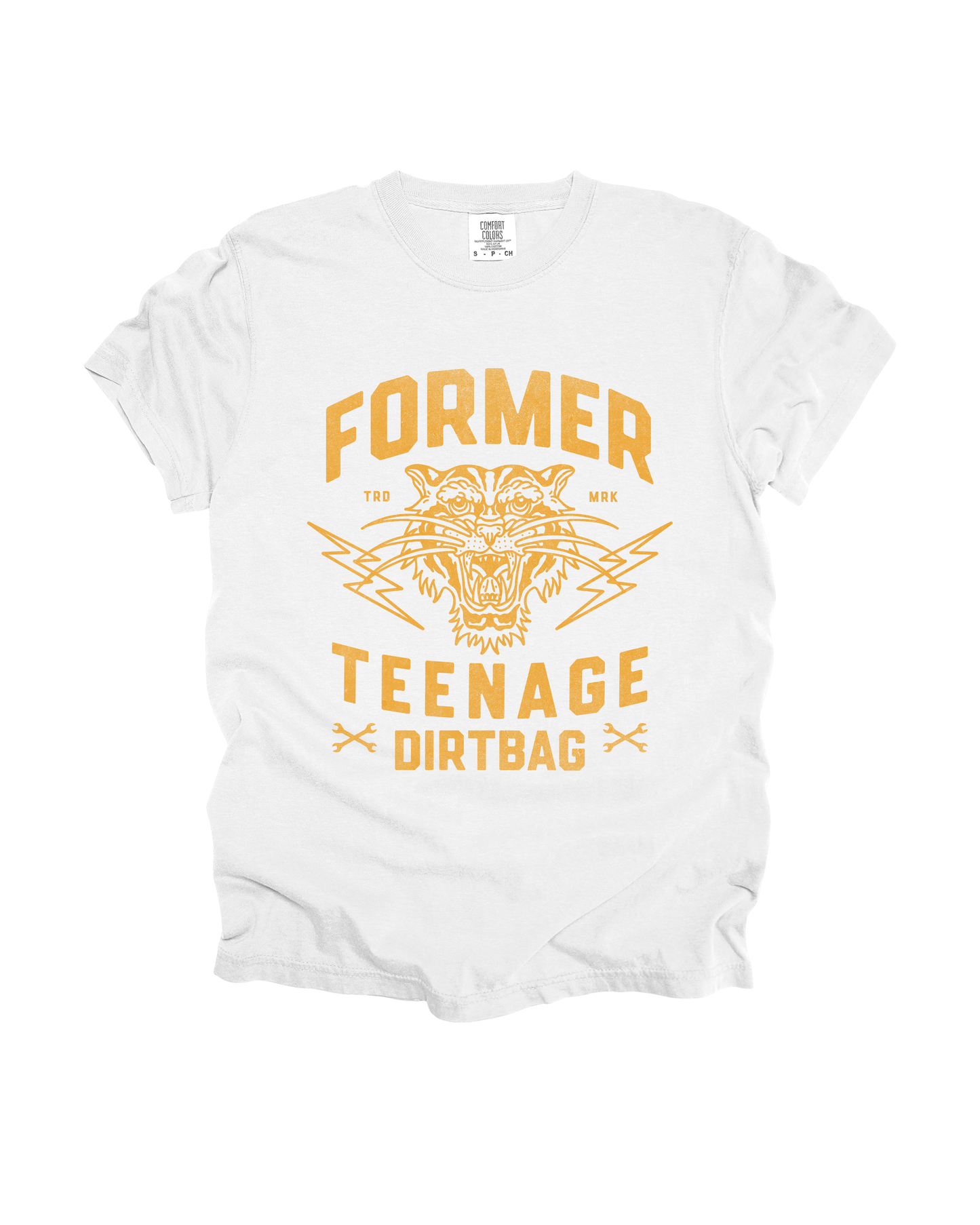 Former Teenage Dirtbag Adult Tee