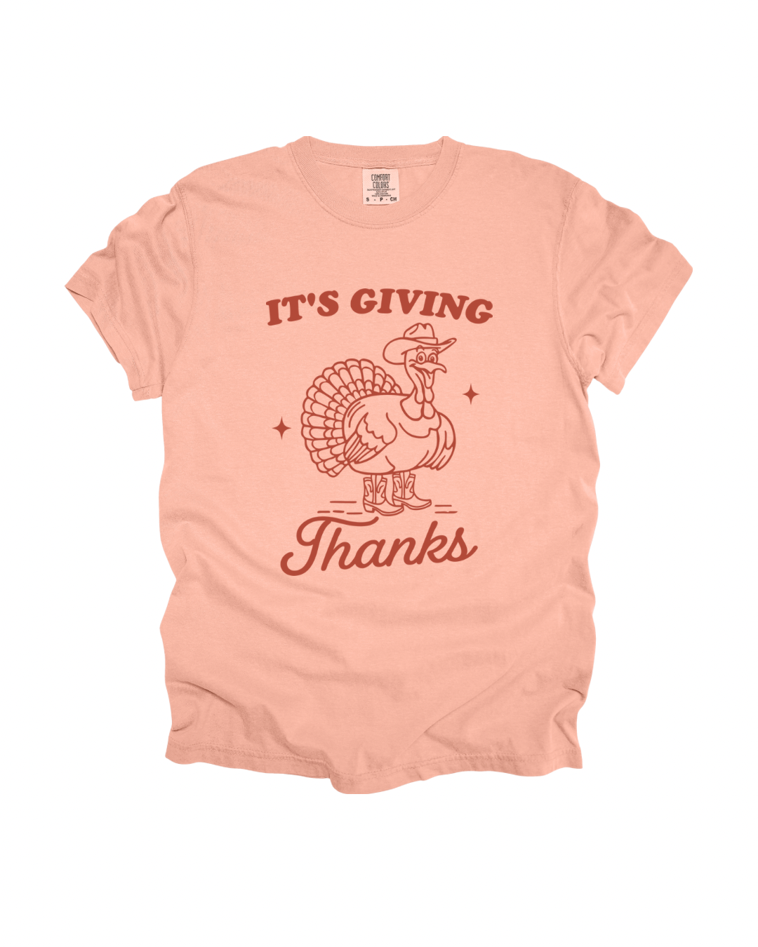 Thanksgiving It’s Giving Thanks Adult Tee