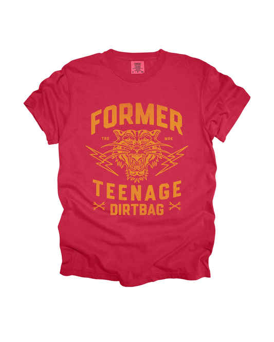 Former Teenage Dirtbag Adult Tee