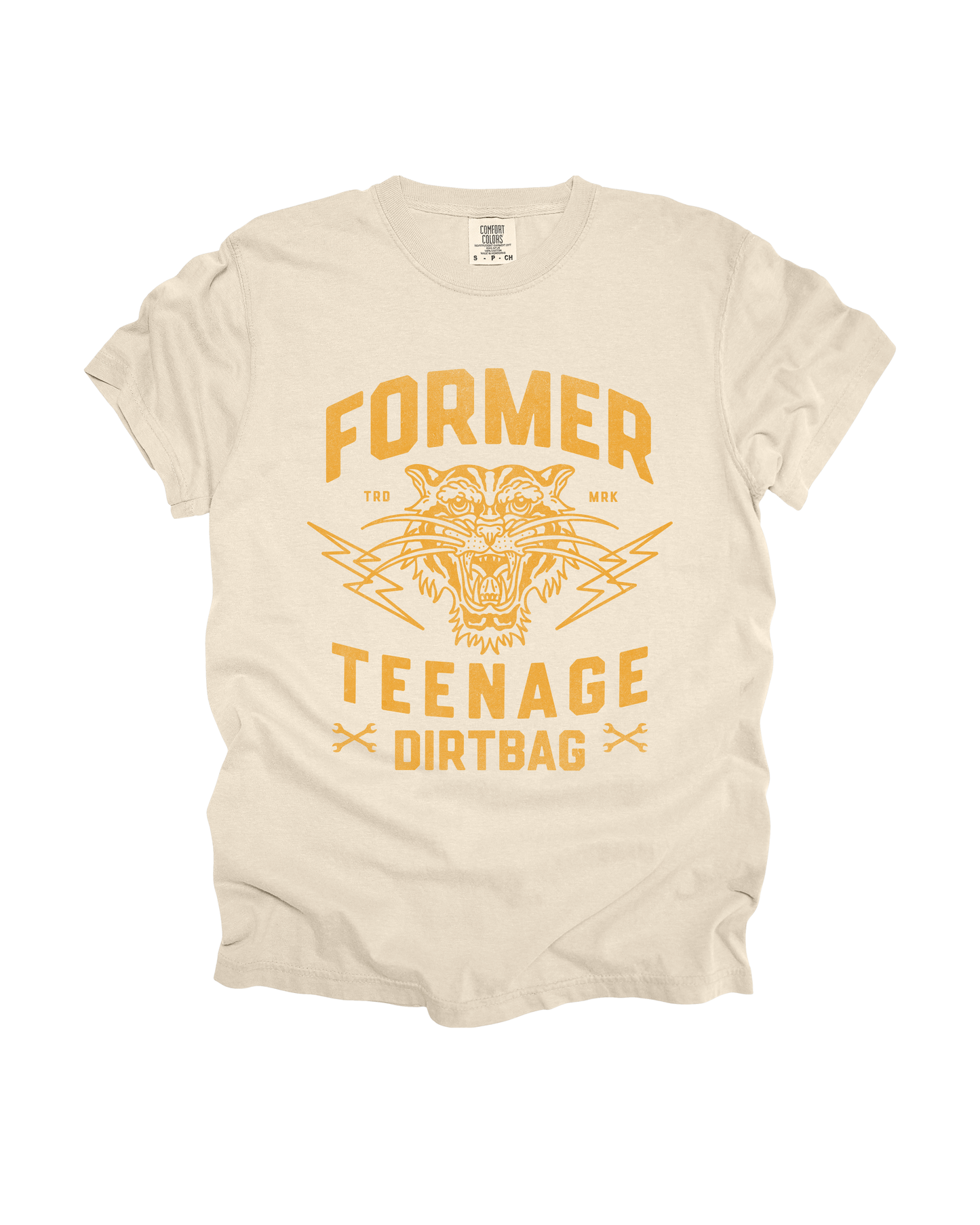 Former Teenage Dirtbag Adult Tee