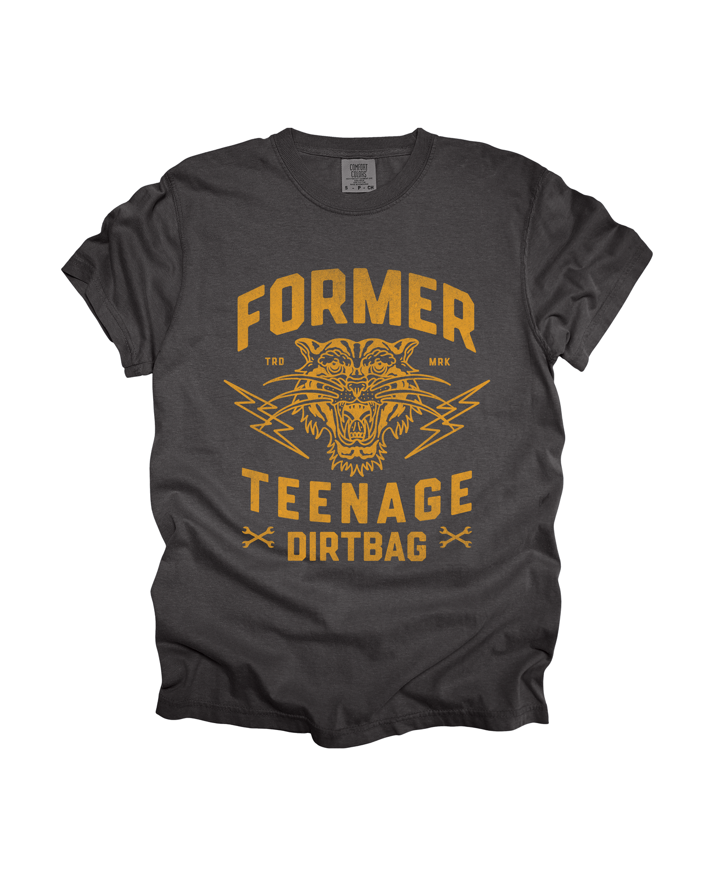 Former Teenage Dirtbag Adult Tee