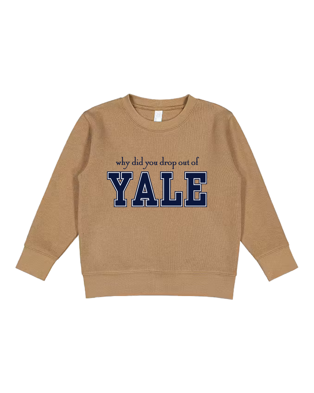 Why Did You Drop Out Of Yale Toddler Sweatshirt