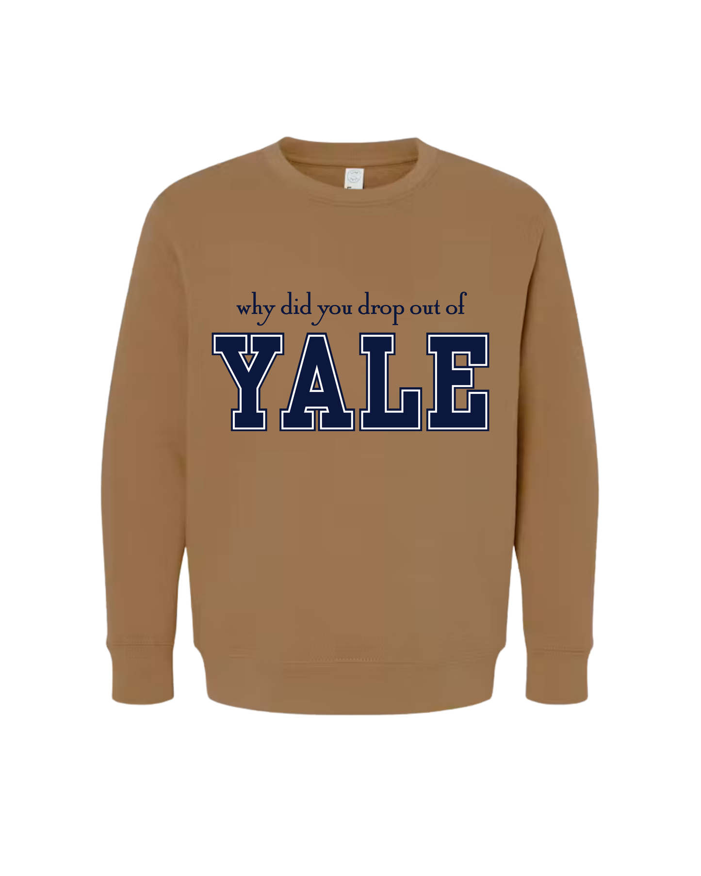 Why Did You Drop Out Of Yale Youth Sweatshirt