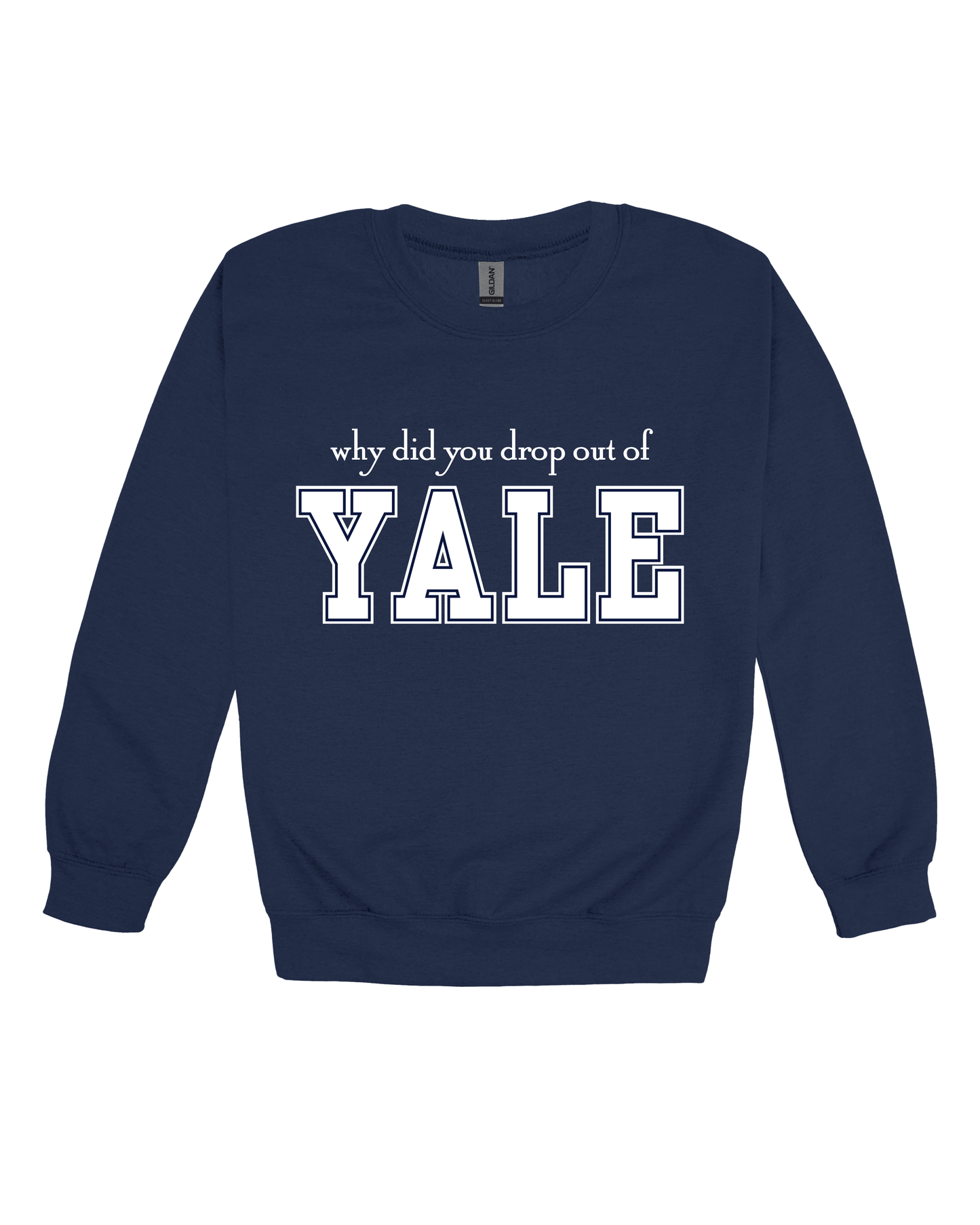 Why Did You Drop Out Of Yale Youth Sweatshirt
