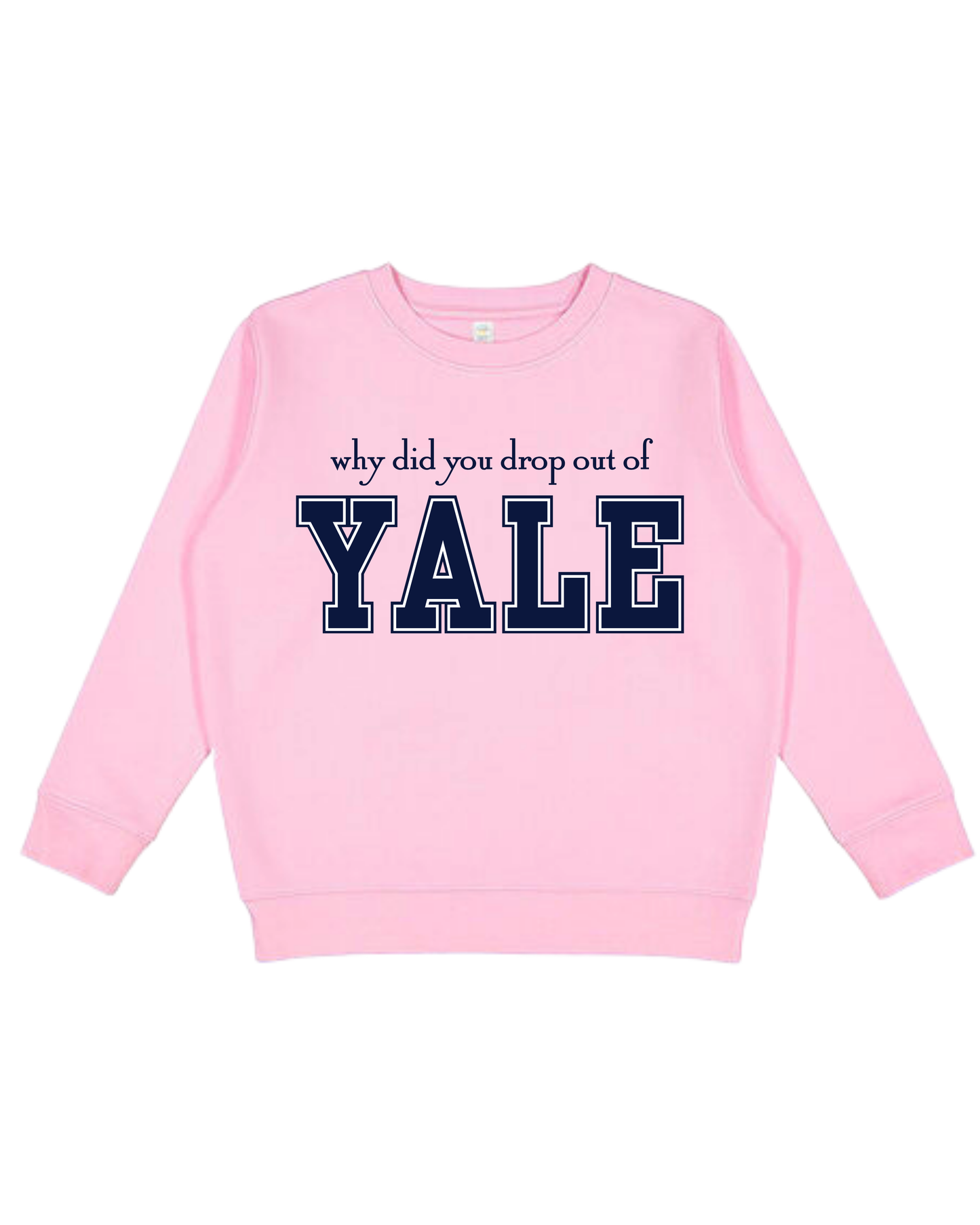 Why Did You Drop Out Of Yale Youth Sweatshirt