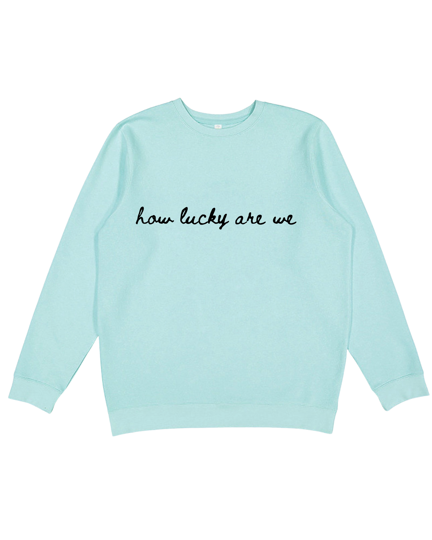 How Lucky Are We Adult Sweatshirt