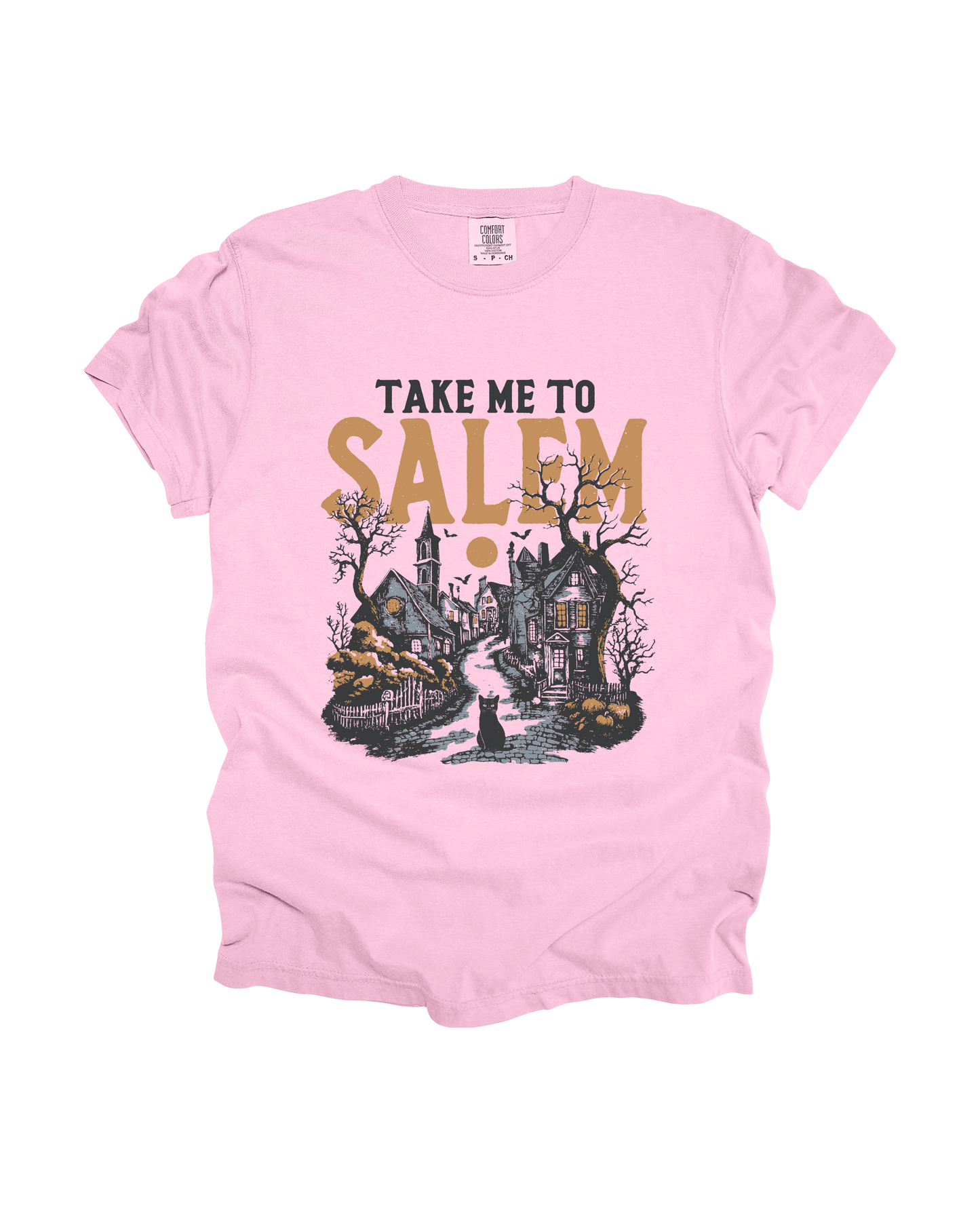 Take Me To Salem Adult Tee