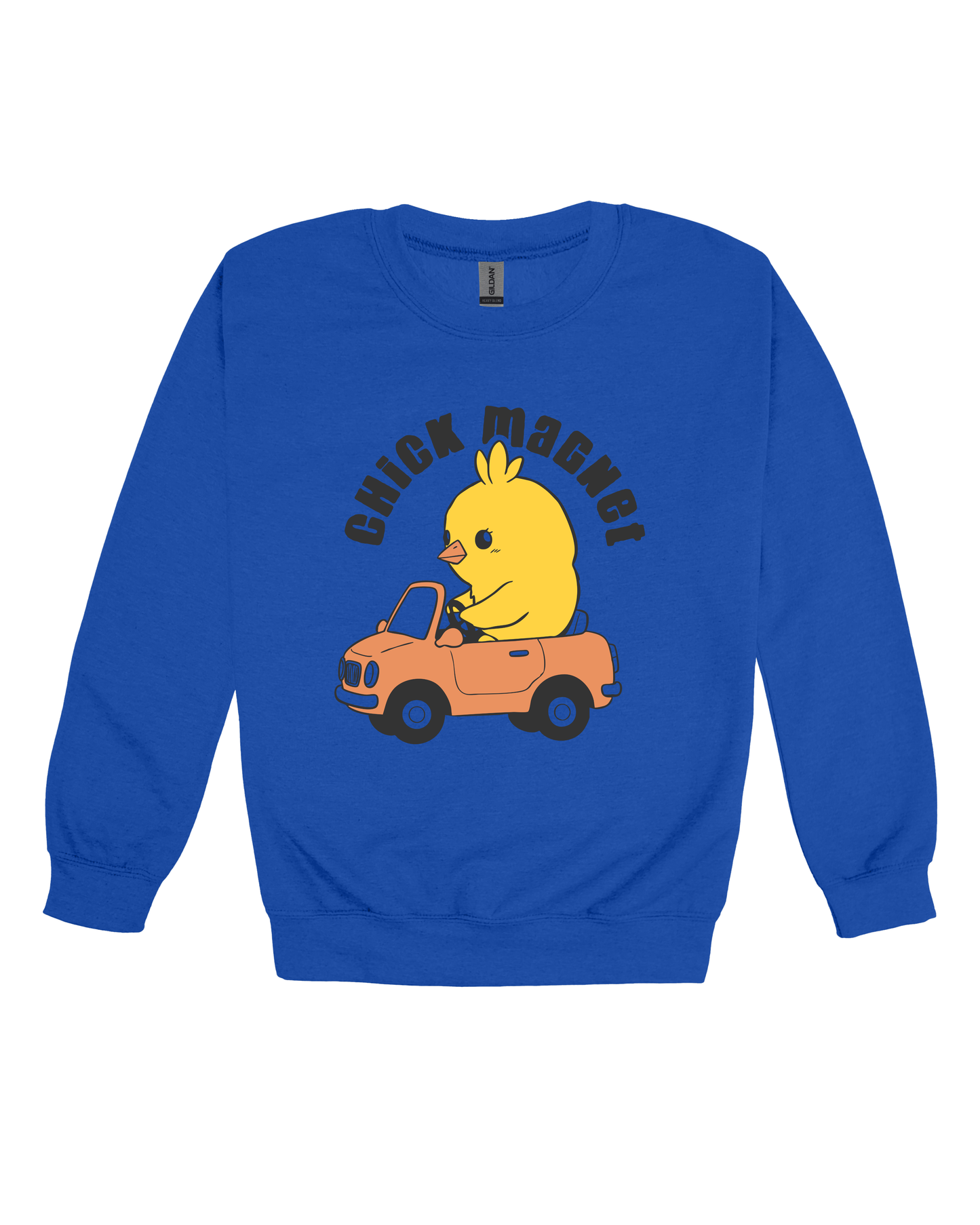 Chick Magnet Youth Sweatshirt