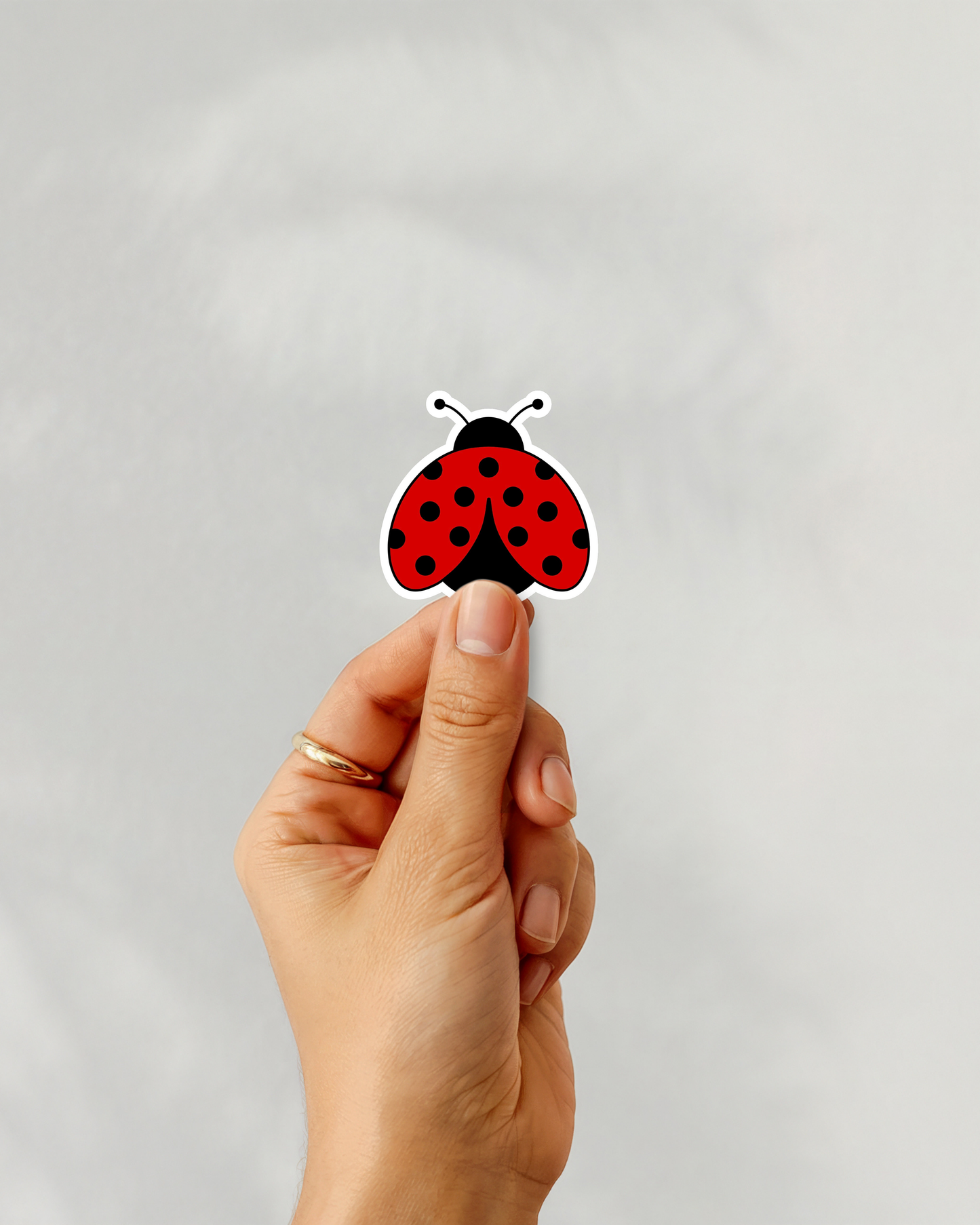 Ladybug Vinyl Sticker