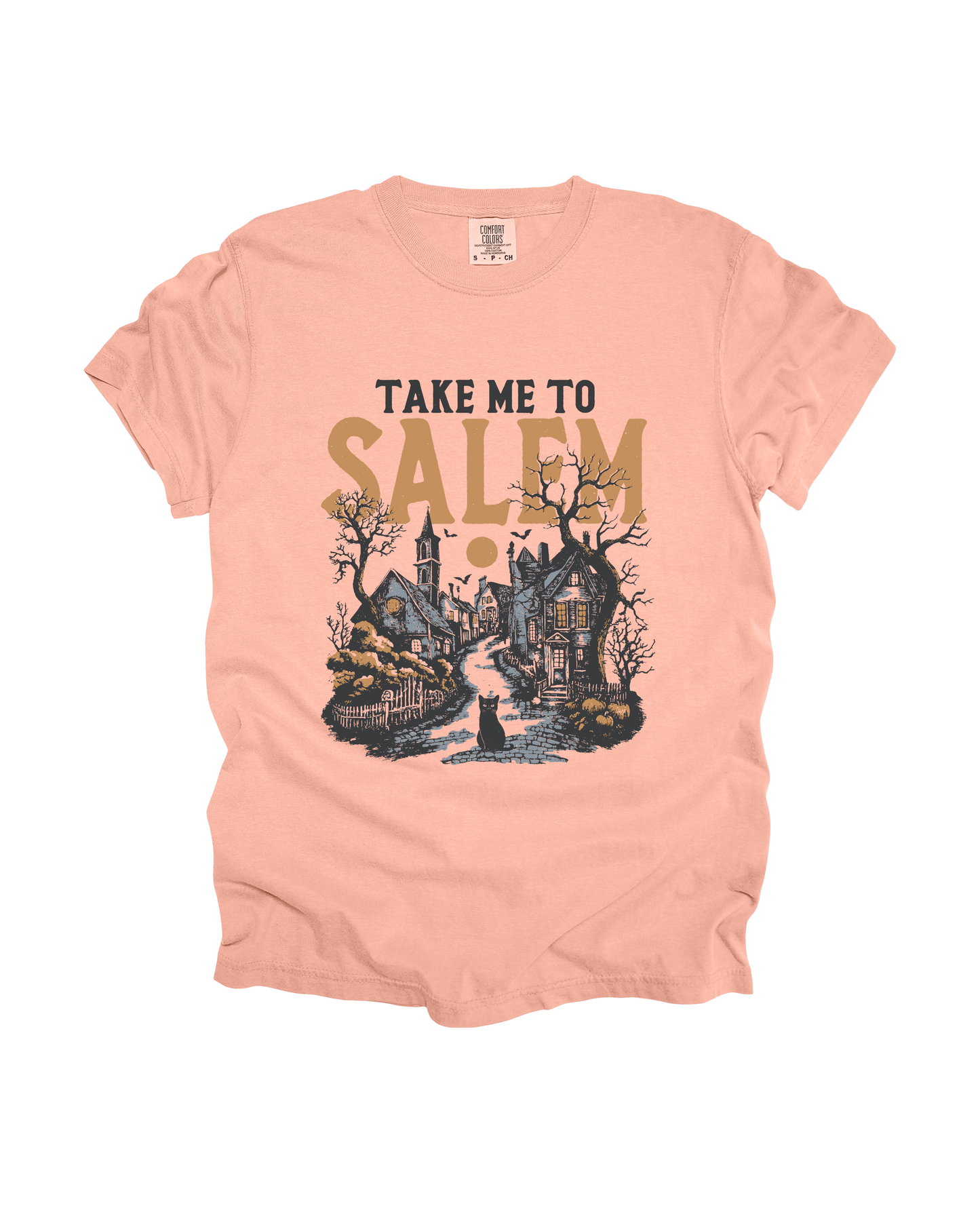 Take Me To Salem Adult Tee
