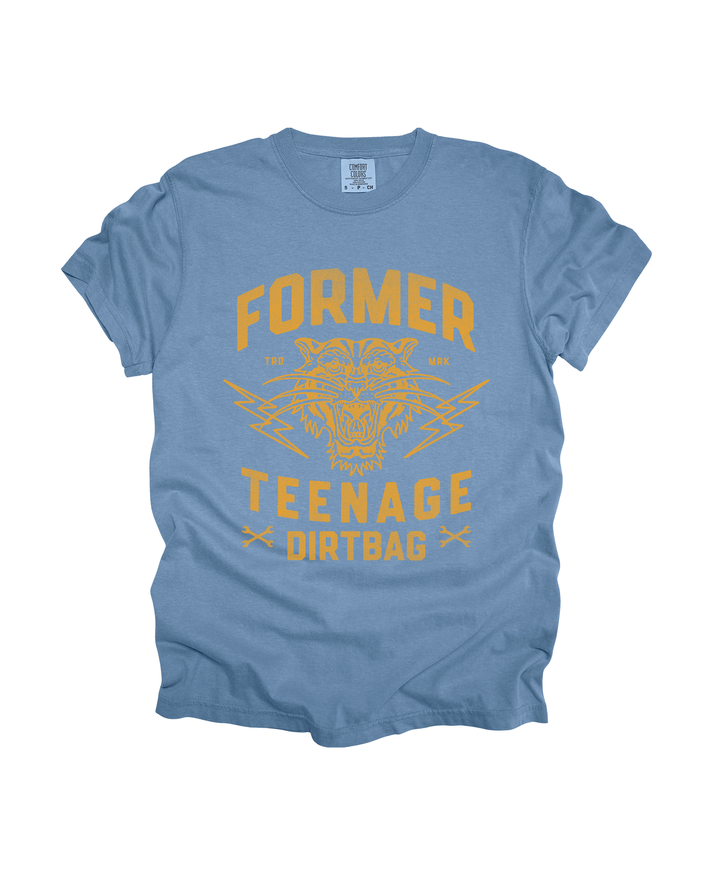 Former Teenage Dirtbag Adult Tee