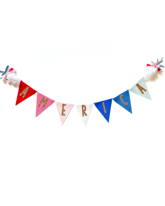 America Banner